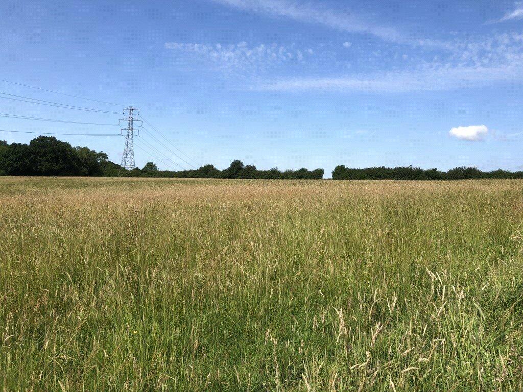 Additional image 10 of Bodle Street Green, Hailsham