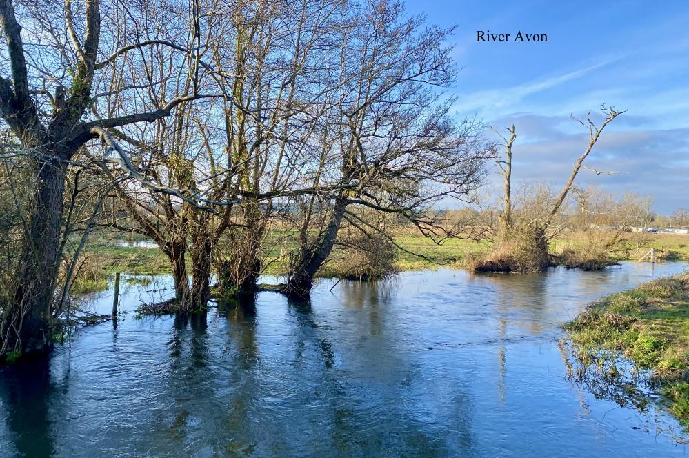 Additional image 4 of Riverside, Ringwood, BH24 1EJ