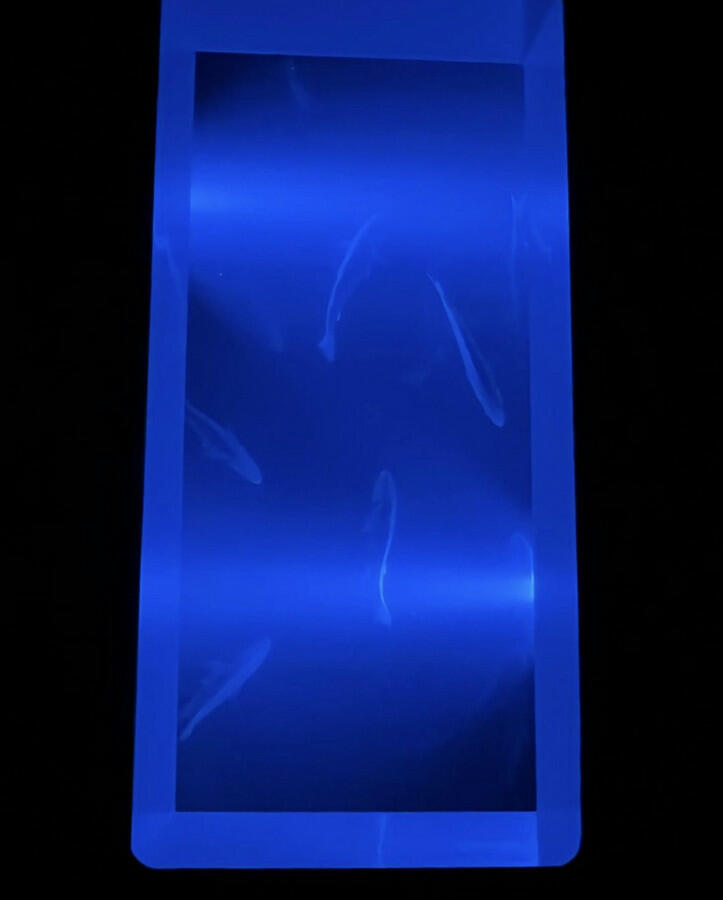 Additional image 27 of Brighton Marina Village, Brighton, BN2