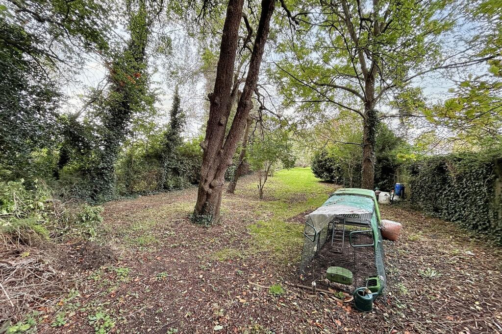 Additional image 22 of Bere Regis