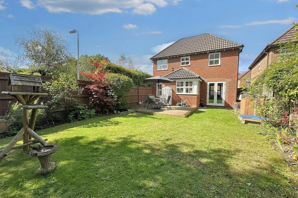 Additional image 19 of Camelias