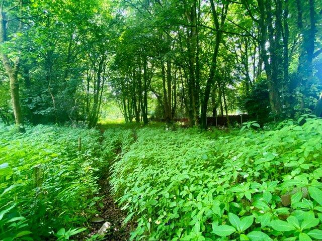 Additional image 6 of Leigh Lane, Elton Bury, Greater Manchester, BL8