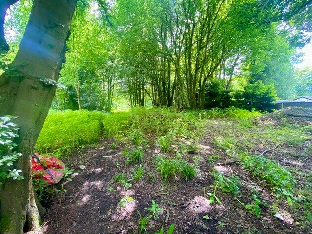 Additional image 8 of Leigh Lane, Elton Bury, Greater Manchester, BL8