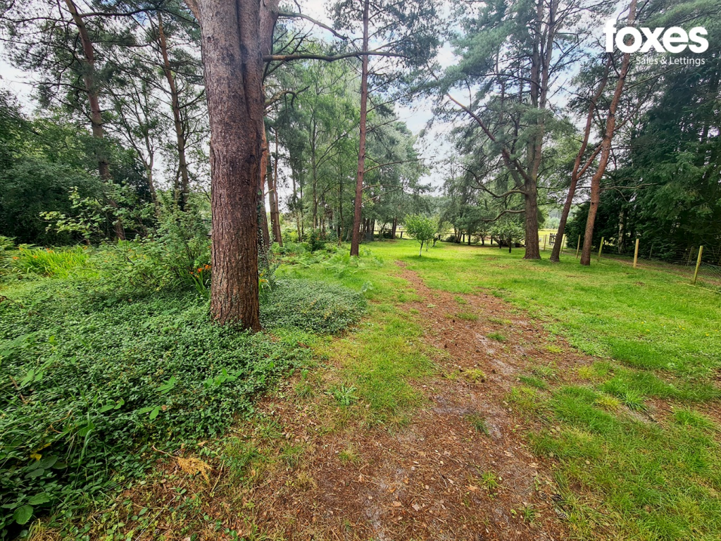 Additional image 22 of Wayside Road, St. Leonards, Ringwood, Dorset, BH24 2SJ