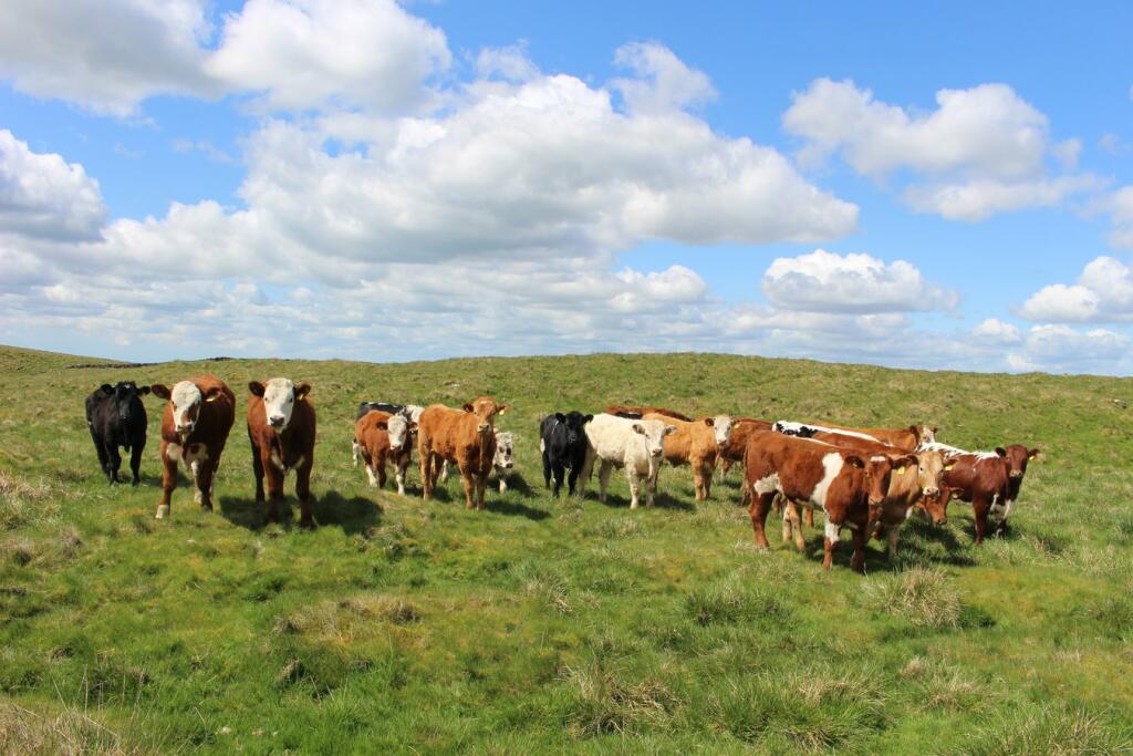 Additional image 9 of Stockdale Lane, Settle, BD24