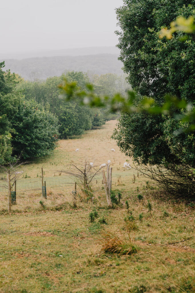 Additional image 29 of Taperfield, Friston, East Sussex