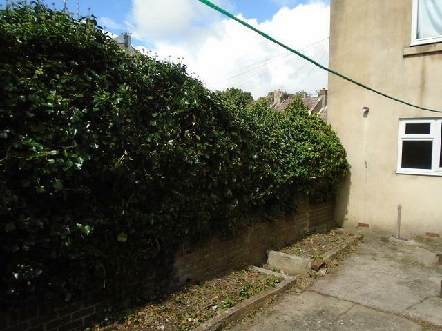 Additional image 9 of Shanklin Road, Brighton