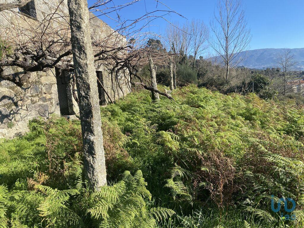 Additional image 2 of Oporto, Baião, Portugal