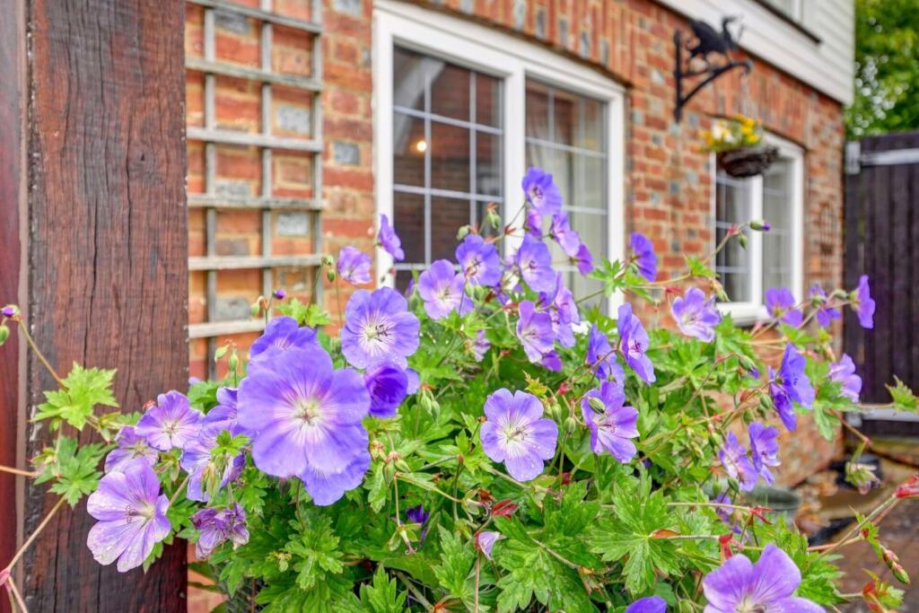 Additional image 40 of Windmill Hill, Herstmonceux, BN27