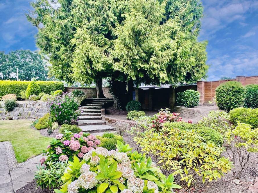 Additional image 11 of Dewlands Way, Ringwood, BH31 6LU