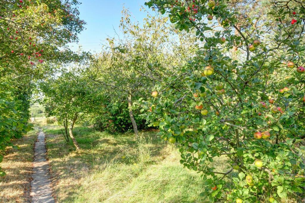 Additional image 27 of Marshfoot Lane, Hailsham, BN27