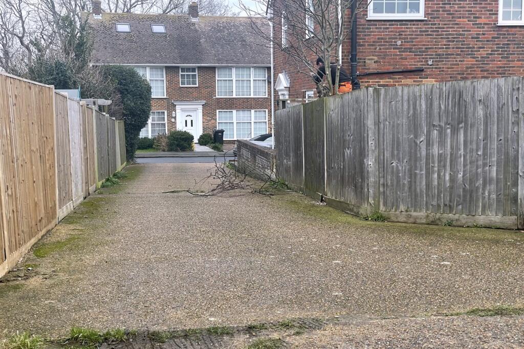 Additional image 12 of Blue Haze, BN25