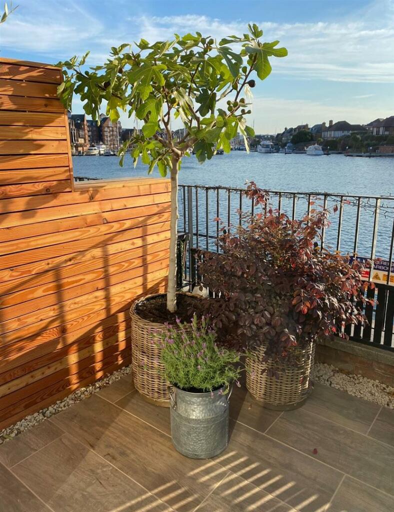 Additional image 12 of Long Beach View, Eastbourne