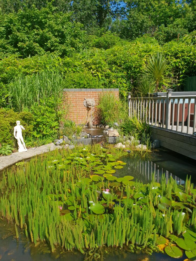 Additional image 10 of Burley Road, Christchurch, BH23