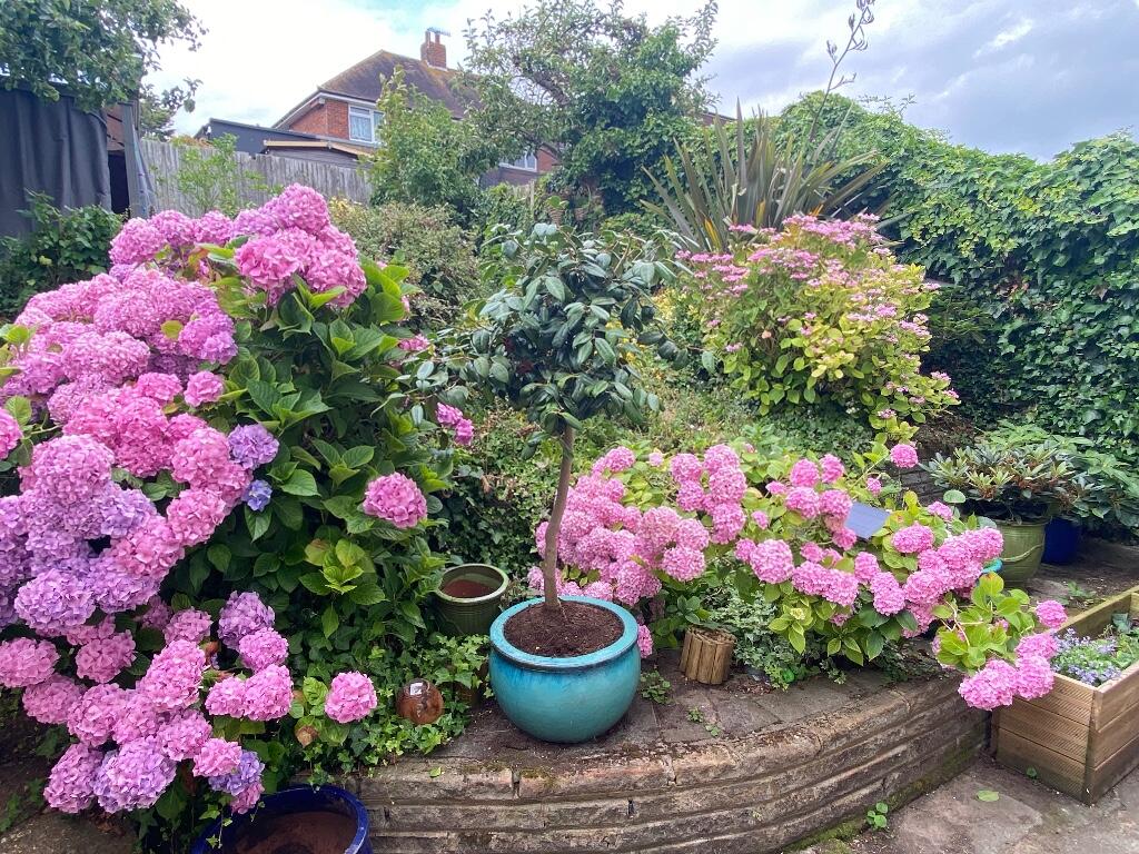 Additional image 15 of Sandringham Close, Hove, East Sussex, BN3