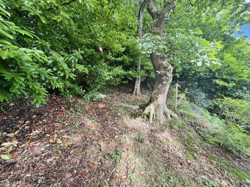 Additional image 14 of Woodsleigh Cottage, Lady Bridge Lane, Heaton