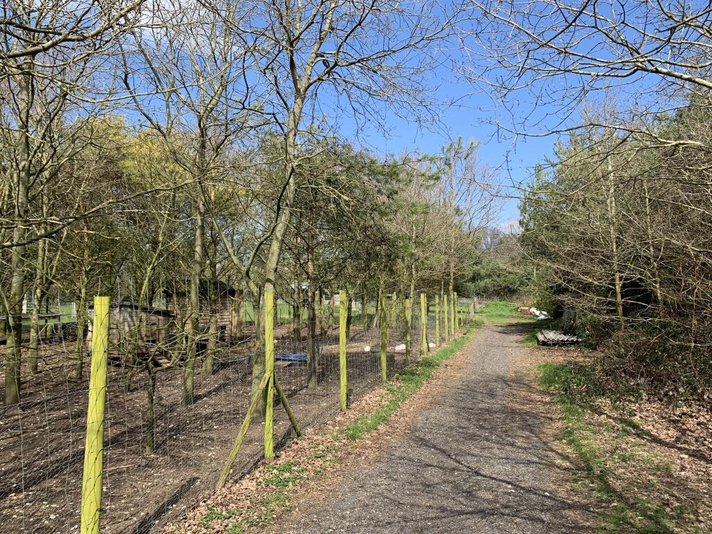 Additional image 2 of Shellbridge Road, Slindon Common, Arundel, BN18