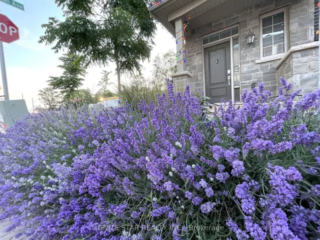 Additional image 3 of 3355 Mockingbird Common