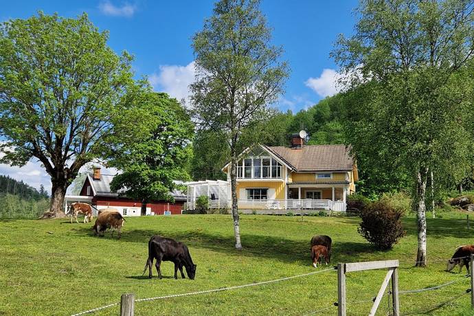 Björtveten Gärdet, Bengtsfors kommun