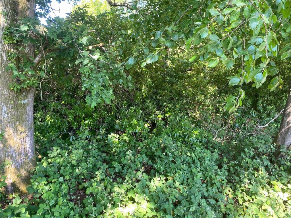 Additional image 4 of South Drive, Ossemsley, New Milton, Hampshire, BH25