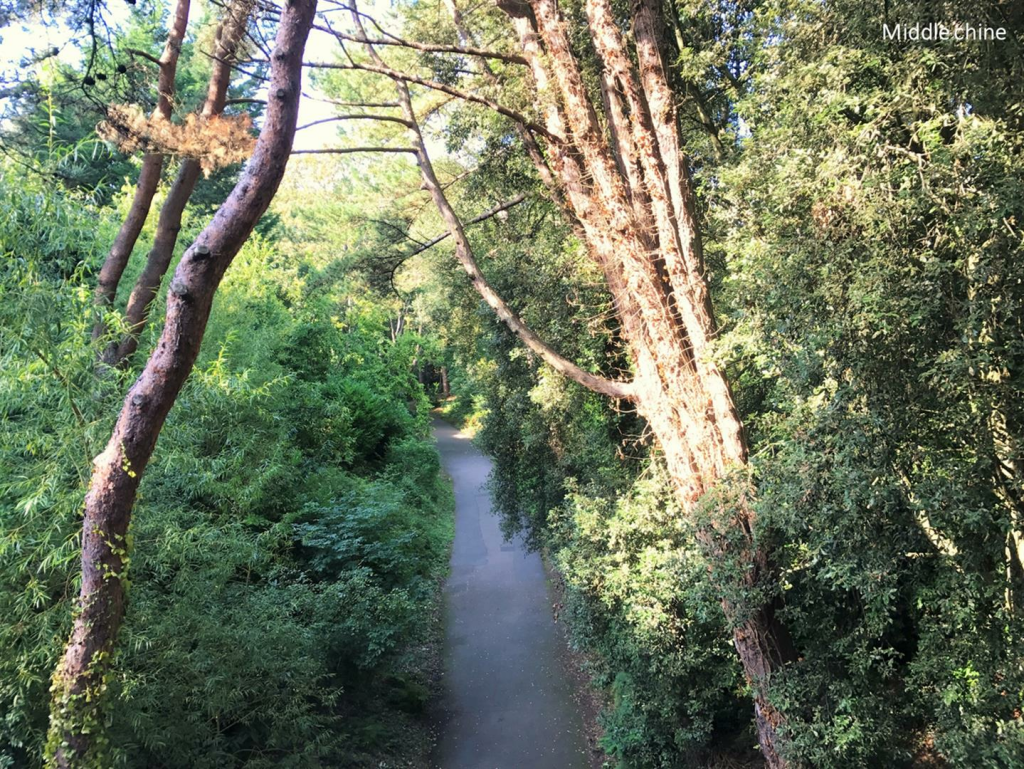 Additional image 5 of Mckinley Road, Bournemouth