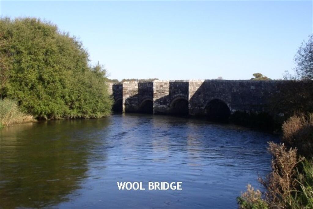 Additional image 8 of Wool