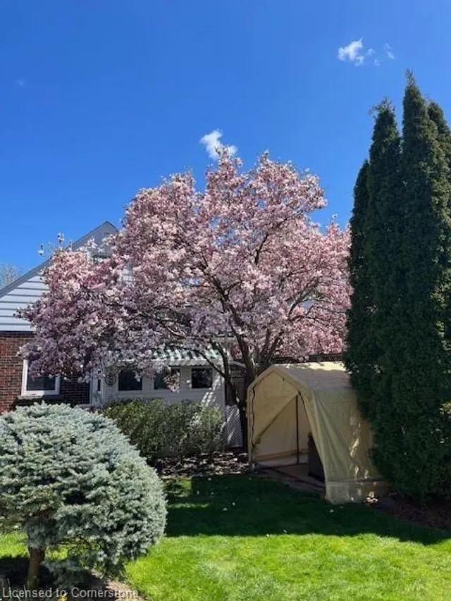 Additional image 44 of 6 Park Row