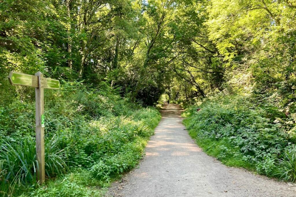 Additional image 24 of Wimborne