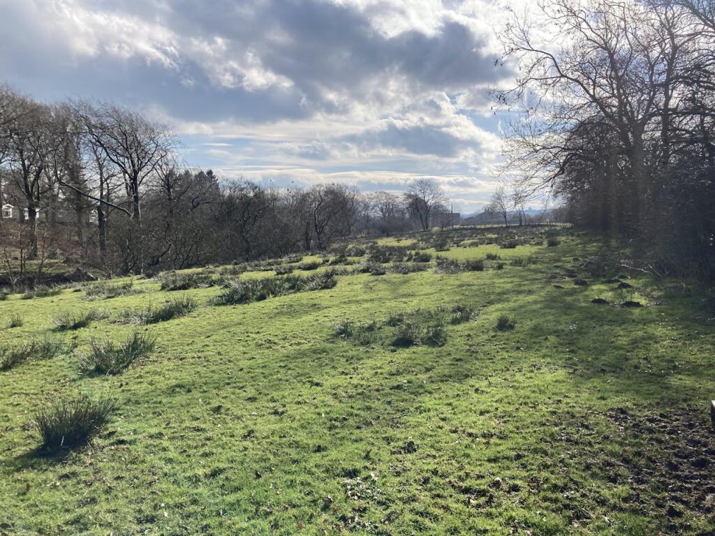 Additional image 8 of Established letting lodge and land -  N Yorks (Ref: YRK1965), Gisburn Forest Lodge and Land, Skipton, BD23 4SD