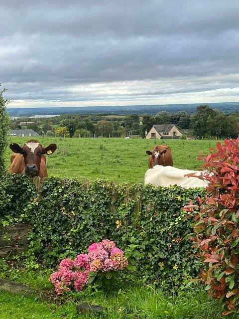 Additional image 78 of Saddlers Barn, Plodder Lane, Bolton