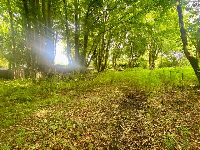 Additional image 5 of Leigh Lane, Elton Bury, Greater Manchester, BL8