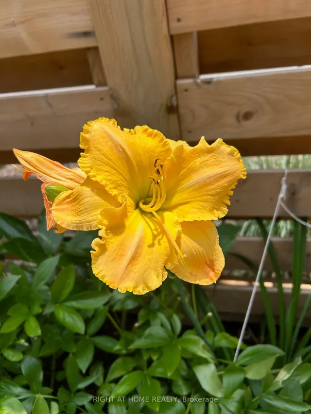 Additional image 40 of 3033 Glencrest Rd Unit 85