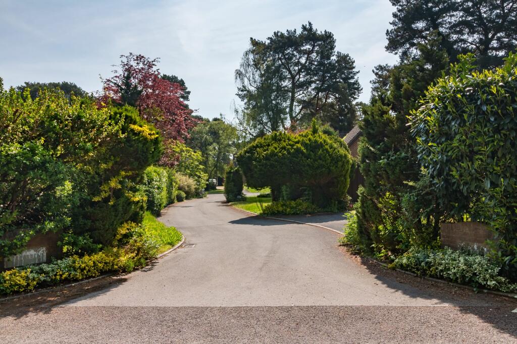 Additional image 6 of Evergreens, Lions Lane, Ashley Heath