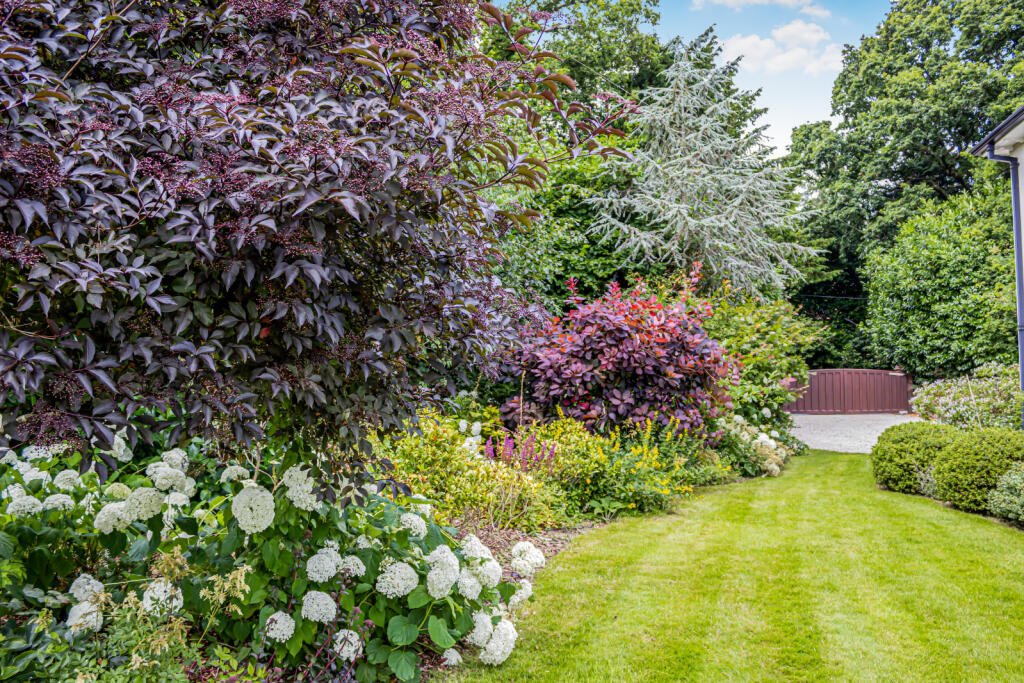 Additional image 35 of Tyrells Lane, Burley, Ringwood, Hampshire, BH24