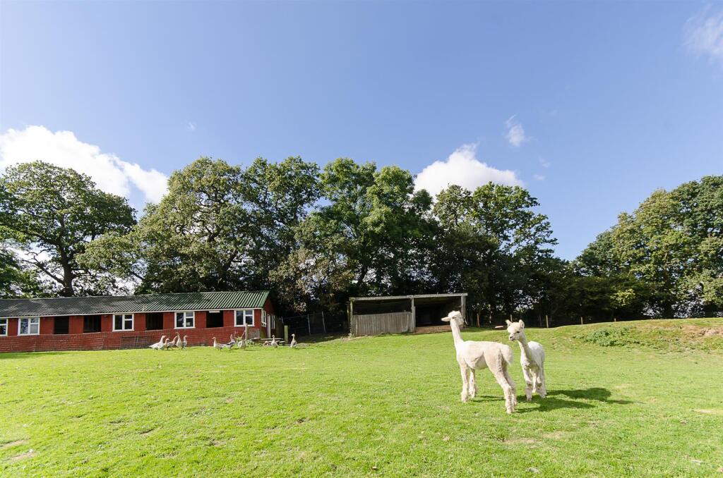 Additional image 21 of Sandy Lane, Lytchett Matravers, Poole