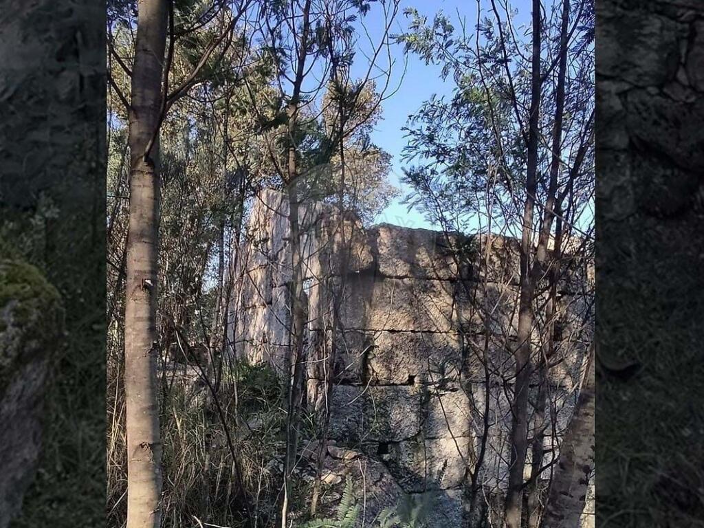 Additional image 3 of Beira Litoral, Oliveira do Hospital, Portugal