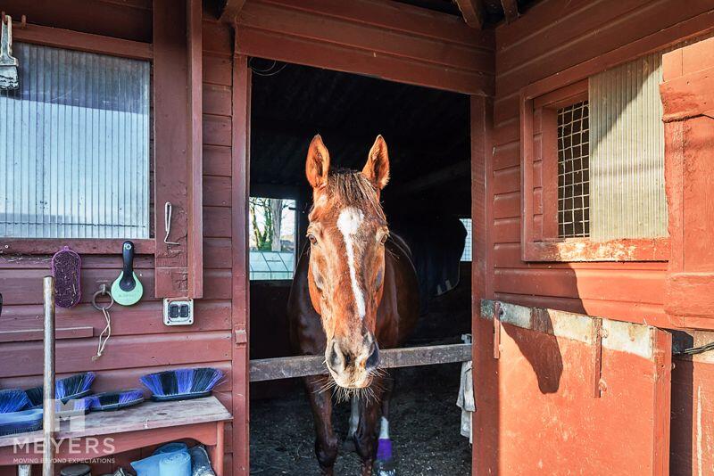 Additional image 21 of Higher Blandford Road, Corfe Mullen, Dorset, BH21