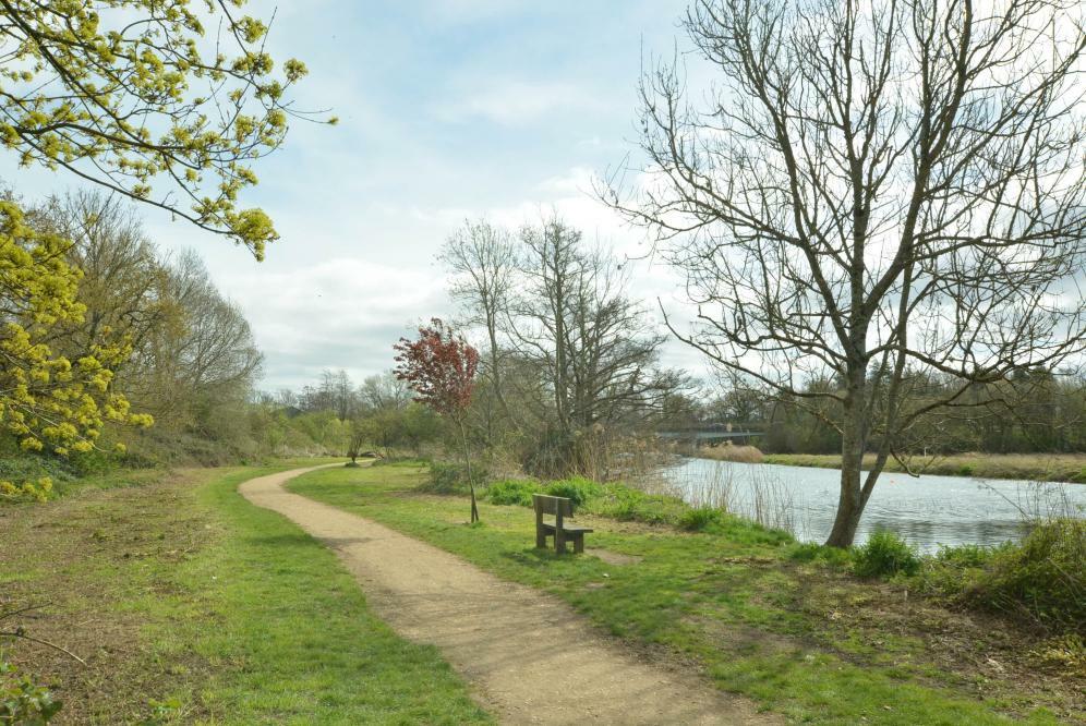 Additional image 9 of New Borough Road, Wimborne, Dorset, BH21 1RB