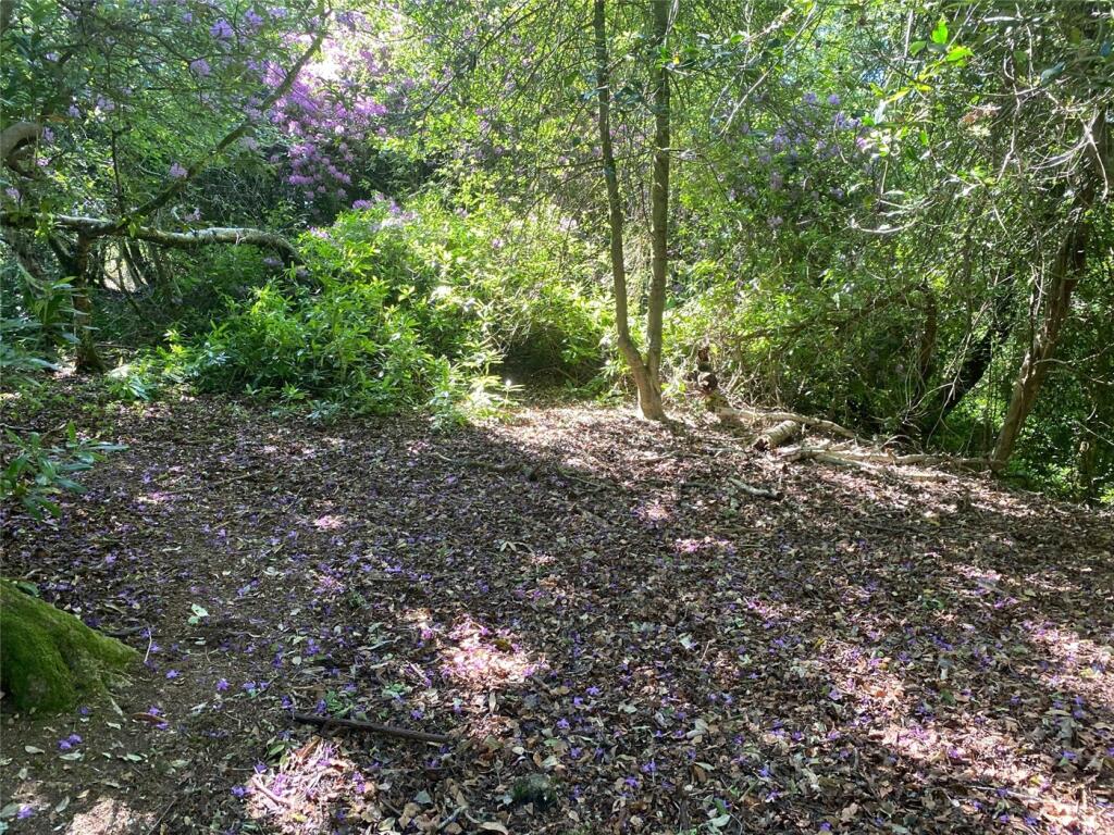 Additional image 7 of South Drive, Ossemsley, New Milton, Hampshire, BH25