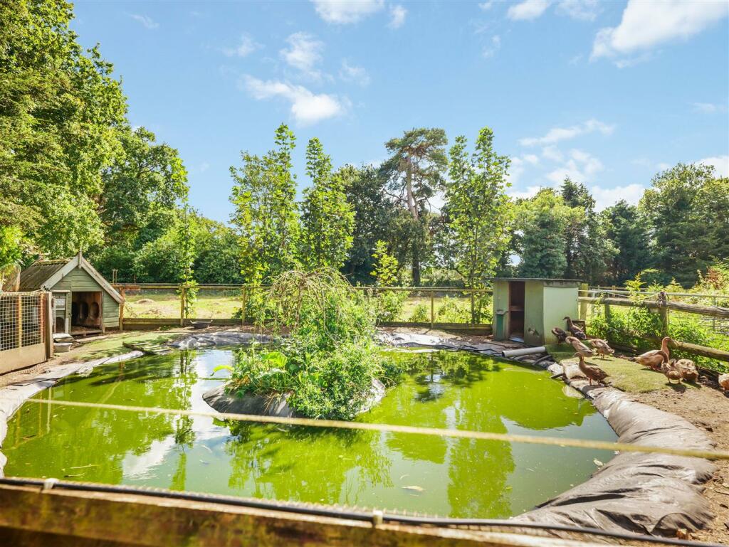 Additional image 46 of Bransgore, Christchurch