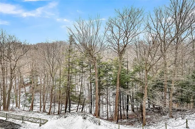 Additional image 27 of 1968 Main St Unit 409