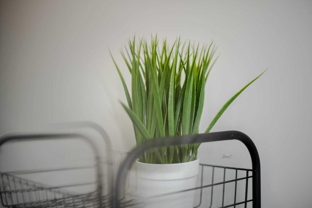 Additional image 73 of Mayfield Avenue