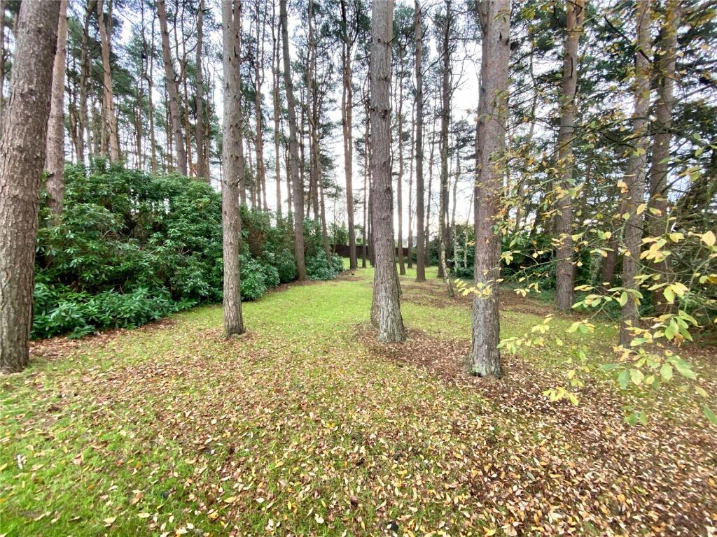 Additional image 11 of Lions Lane, Ashley Heath, Ringwood, BH24