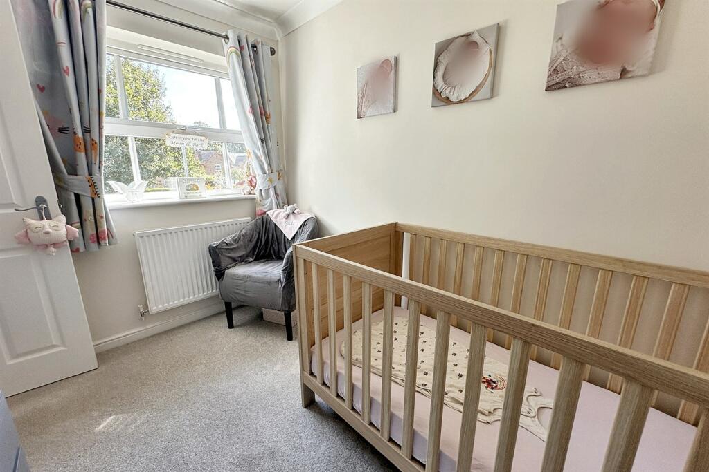 Additional image 14 of Camelias