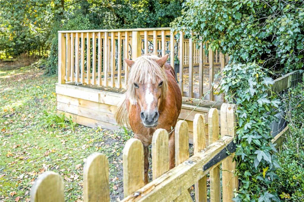 Additional image 21 of Burley Street, Burley, Ringwood, Hampshire, BH24