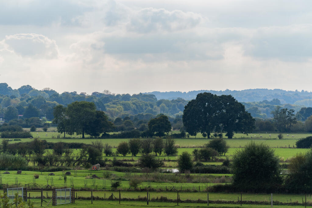 Additional image 8 of Julians Road,
Wimborne,
BH21 1EF