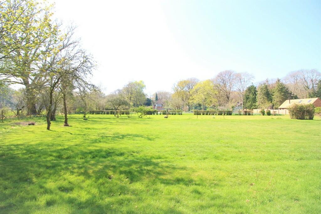 Additional image 14 of Wootton, New Forest