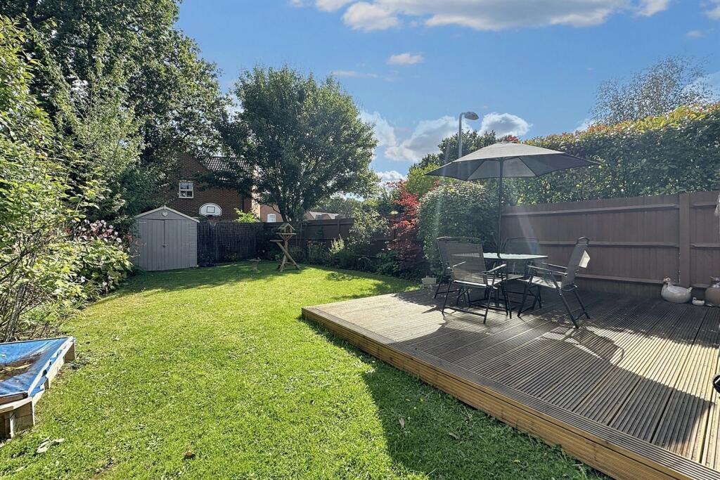 Additional image 18 of Camelias