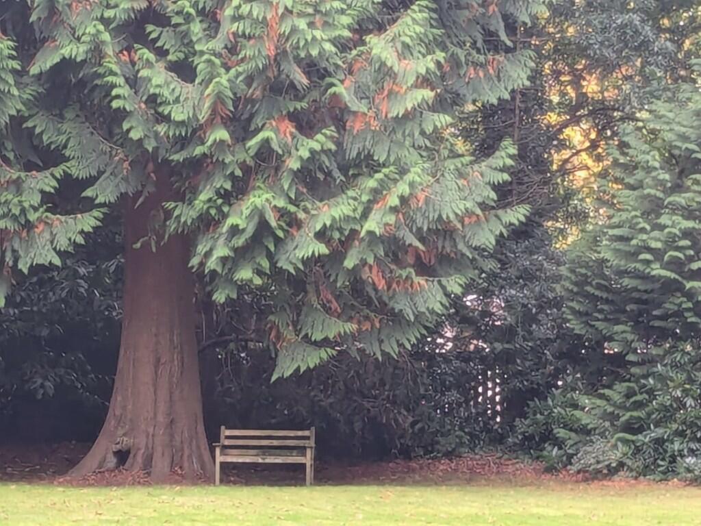 Additional image 23 of The Avenue, Poole, Dorset, BH13