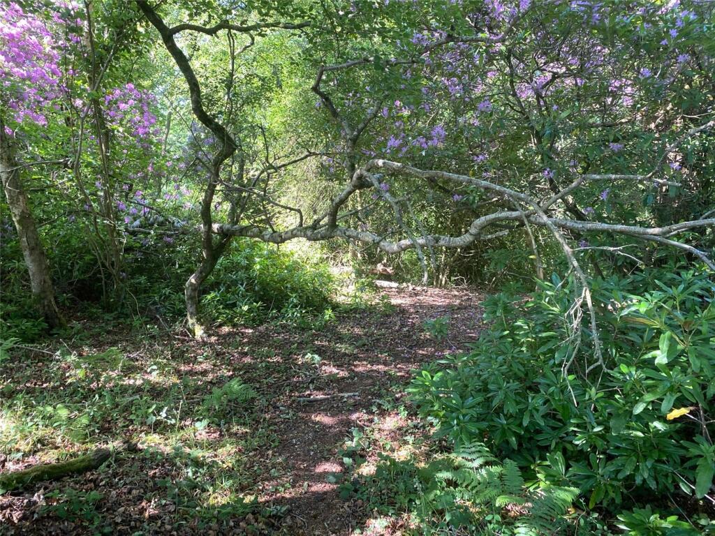 Additional image 5 of South Drive, Ossemsley, New Milton, Hampshire, BH25